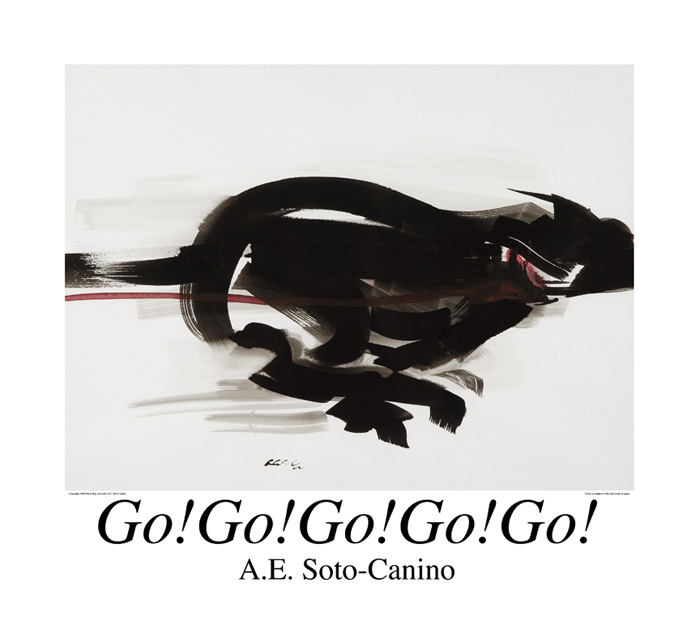 Go!5_11x14nikprt