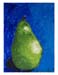 Jackson'sPear2_11 x #16244A